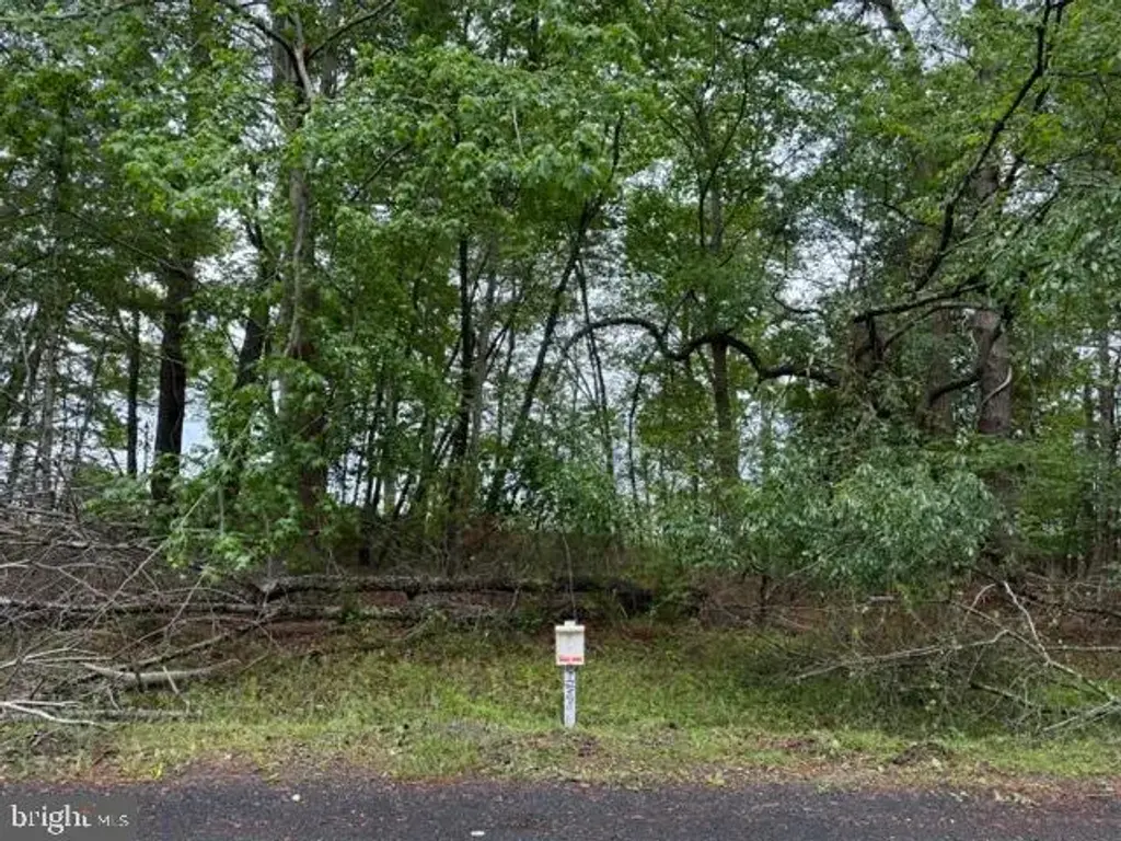 58 Neptune Dr, GREENBACKVILLE