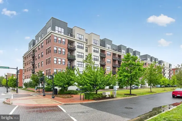 737 Swann Ave #310, Alexandria