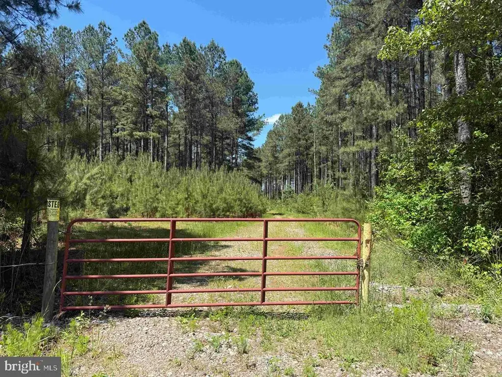 Laurel Springs Road (tract: Surry Dr. Williams-2), SURRY