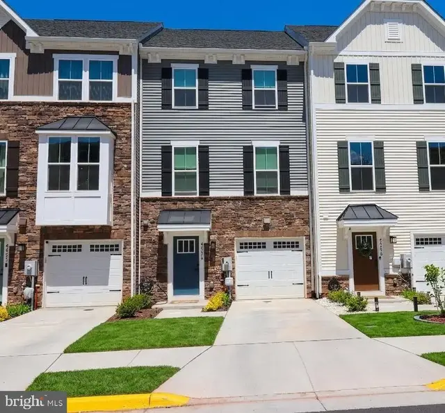 46274 Mount Kellogg Ter, Sterling