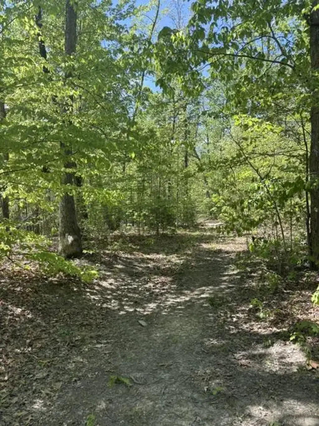 Davis Ln, ARODA