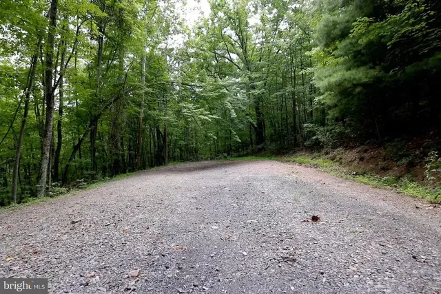 Lot 168 Forest Ridge Trail, Fort Valley