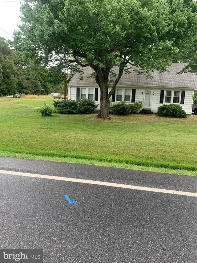 1007 Hudson Rd, Cambridge