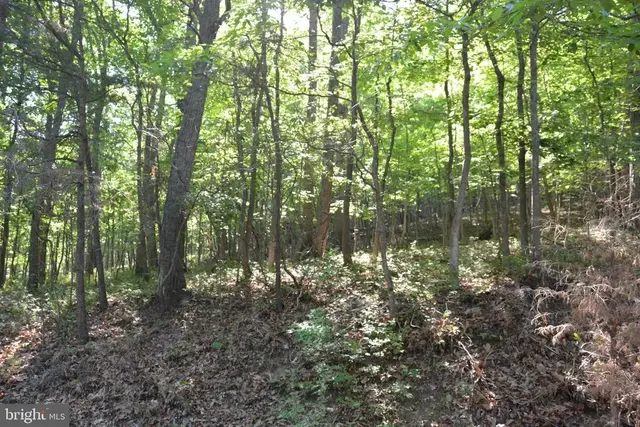 3 Lots - 59, 60, 61 Baldwin Rd, Front Royal