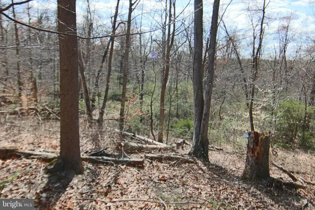0 S Forge Road, PALMYRA