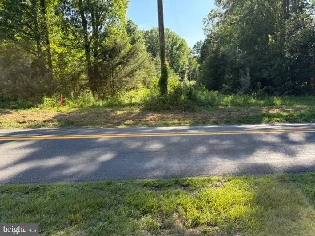 0 Gold Dale Rd, LOCUST GROVE