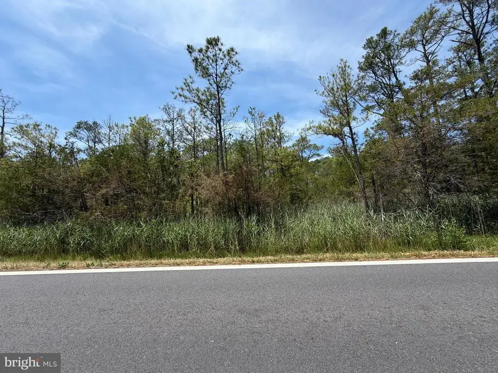 Parcel 517 Old State Rd, CRISFIELD