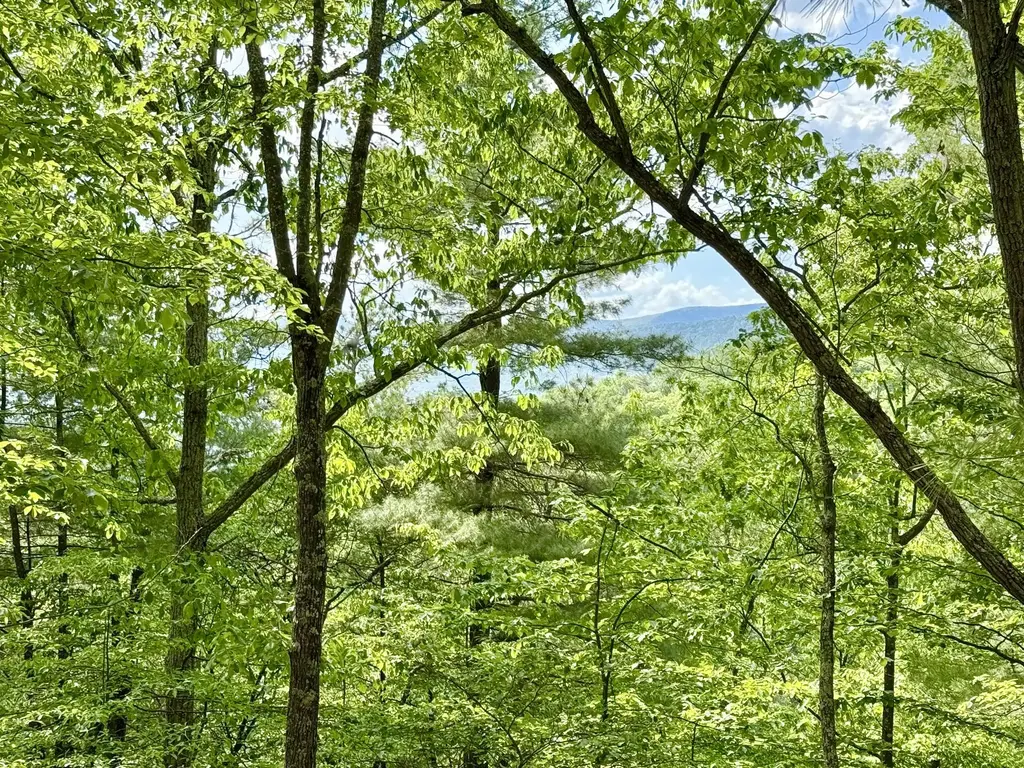 Hawks Ridge Road, FRANKLIN