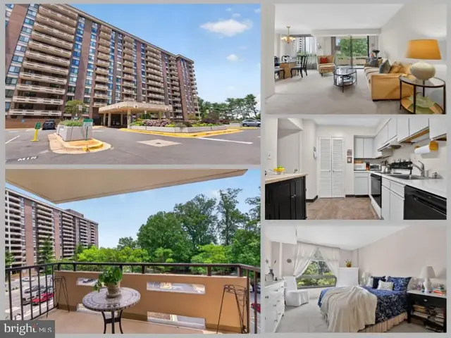 1808 Old Meadow Rd #509, Mclean