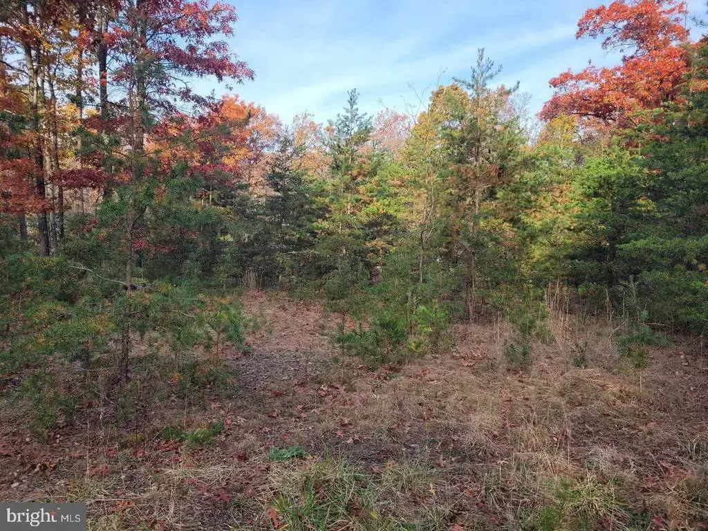 Lot 26 Park Road, PAW PAW