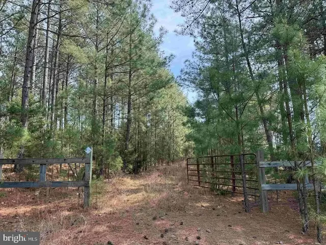 Bearskin Road (tract: Reynolds A-1), Chatham