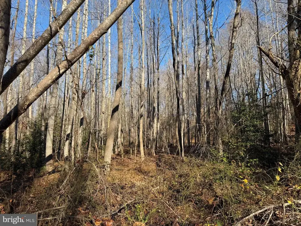 Lot 2 B Turkey Acres Rd, KING GEORGE