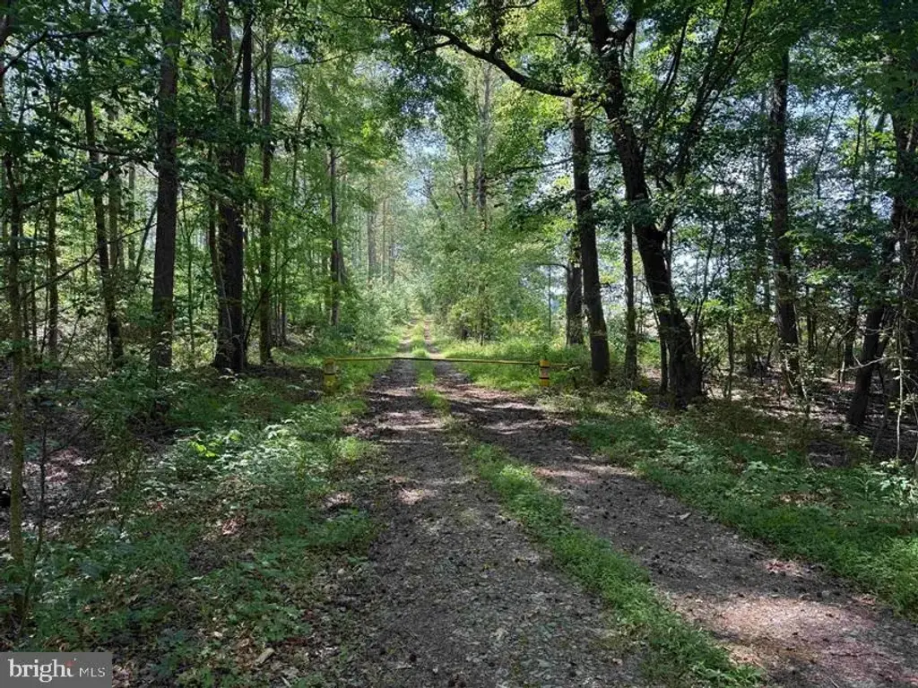 Dodlyt Road (tract: Bk2932), HEATHSVILLE