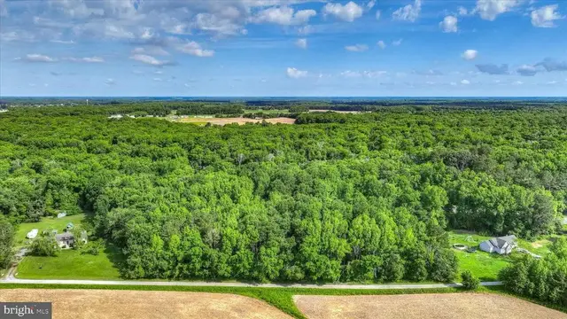 Lots 3 & 4 Bell Ln, Whaleyville
