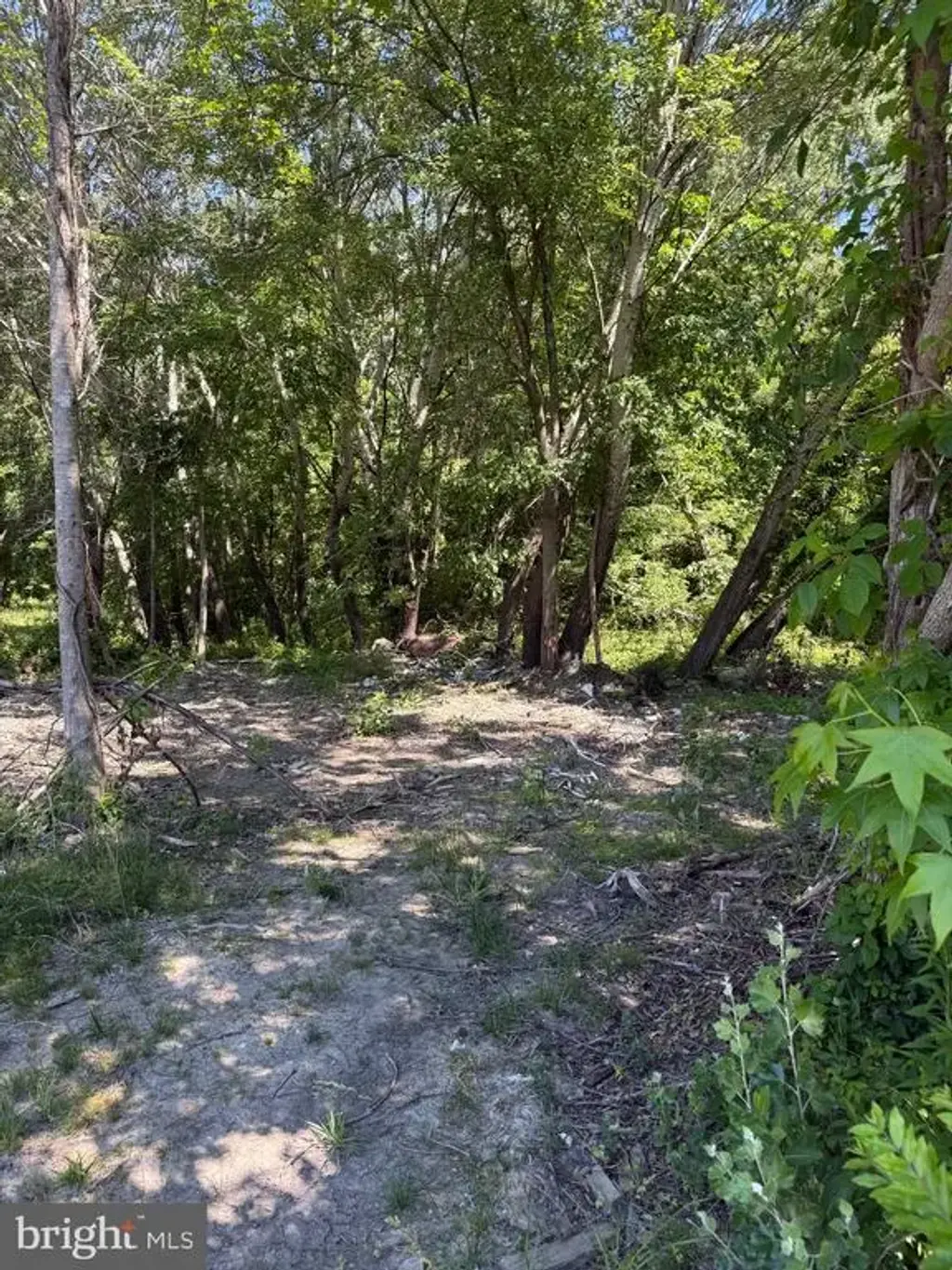 105 Barclay Cutoff Rd, BARCLAY