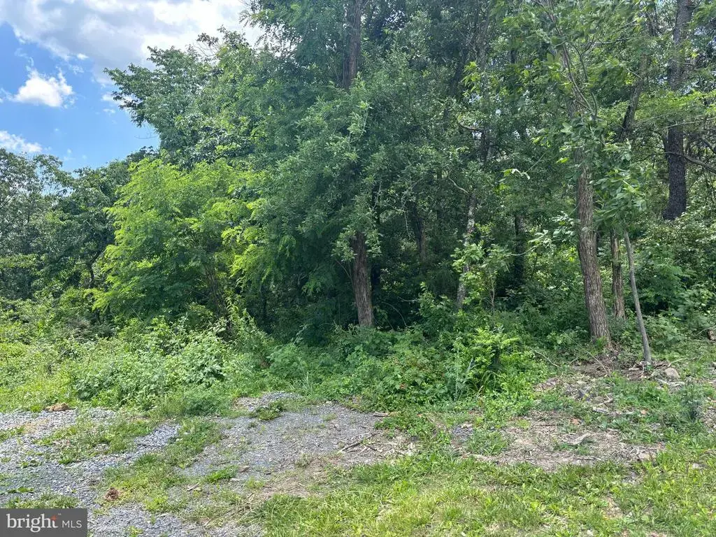 0 Wardensville Grade, WINCHESTER