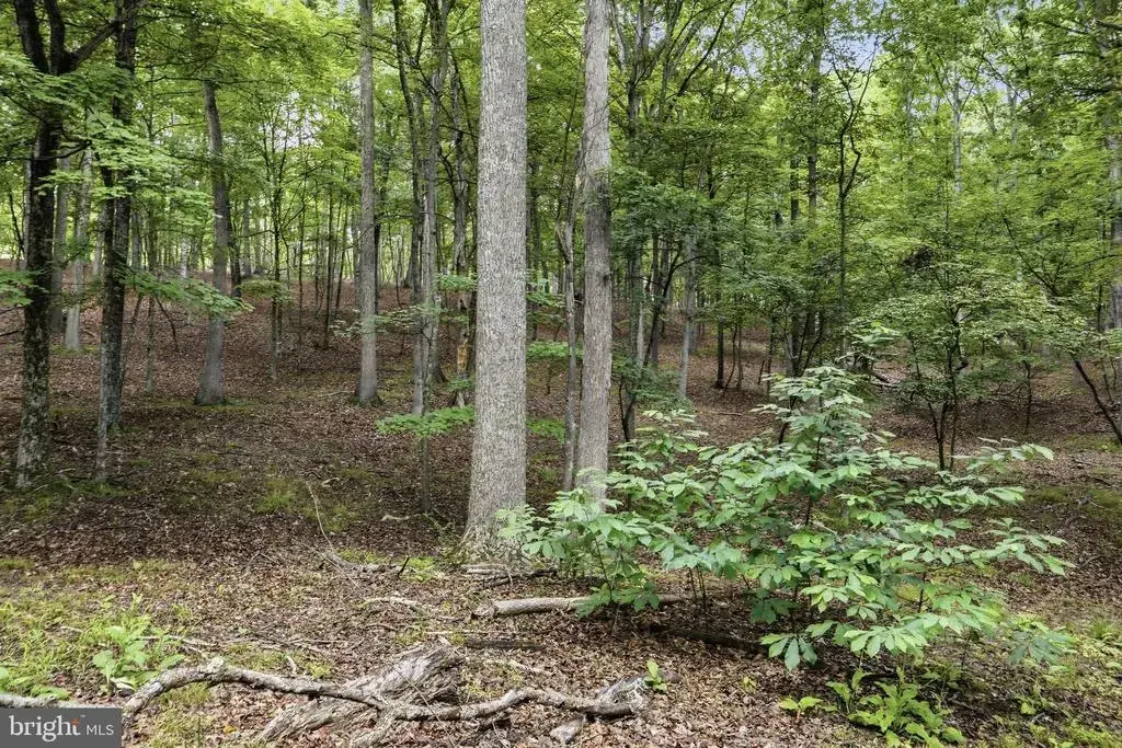 0 Pioneer Trail Trl, GREAT CACAPON