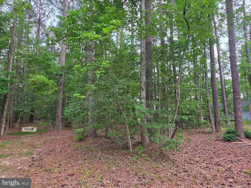 Lot 272 Military Court, MONTROSS
