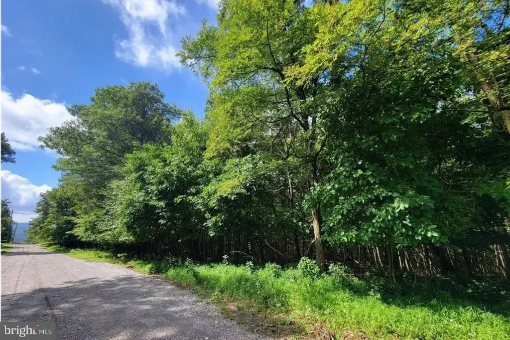 247 Whitetail Crossing Rd, TAMAQUA