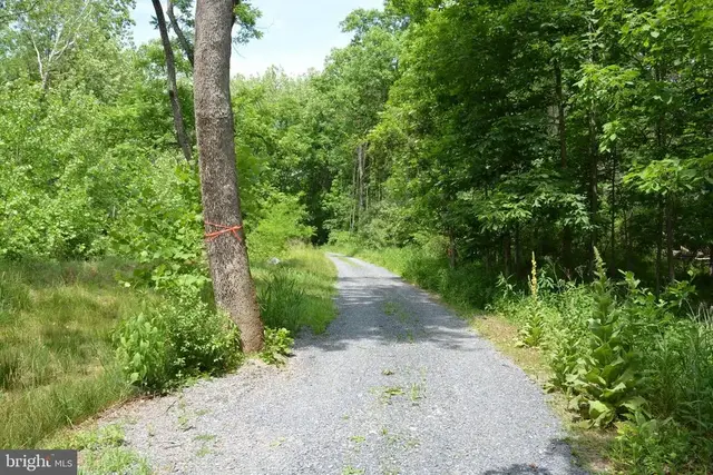 Two Lots On Siler Rd, Winchester