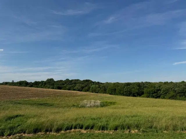 13090 Old Frederick Rd, Sykesville