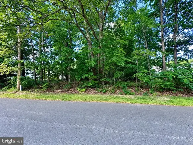 10005 Mason Rd, Berlin