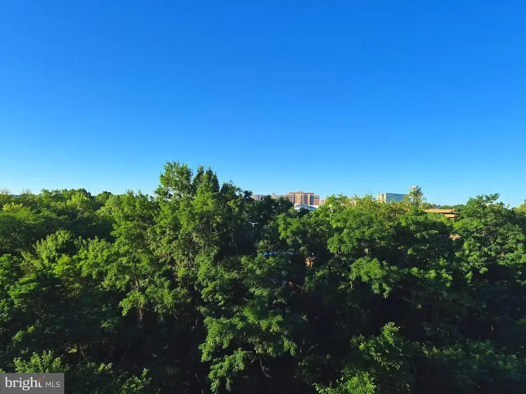 3705 S George Mason Dr #709s, FALLS CHURCH