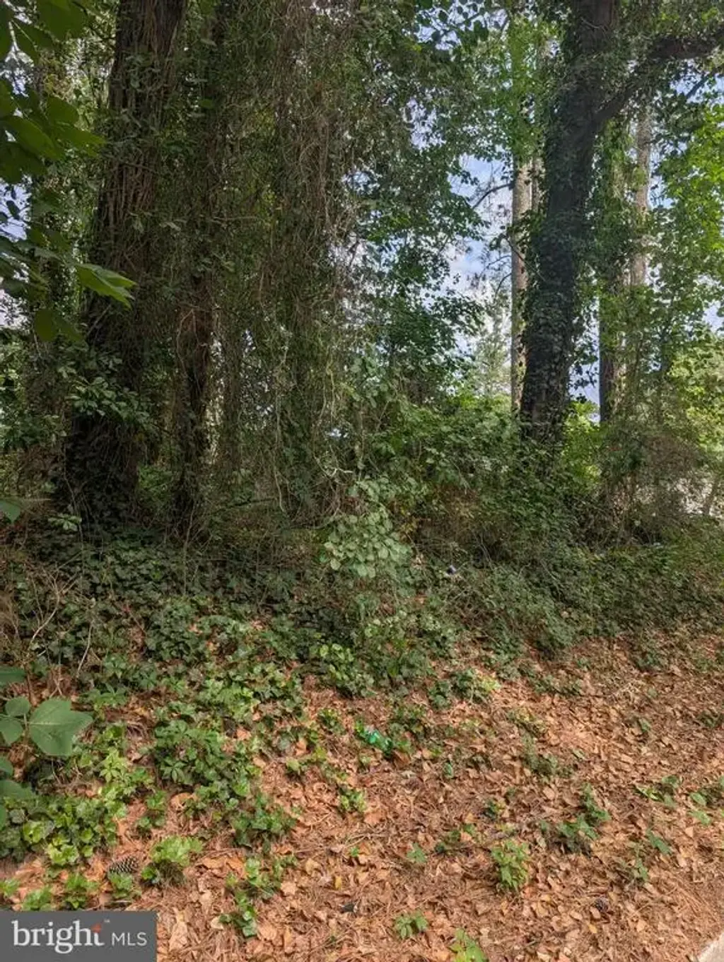 0 Schumaker Ln, SALISBURY