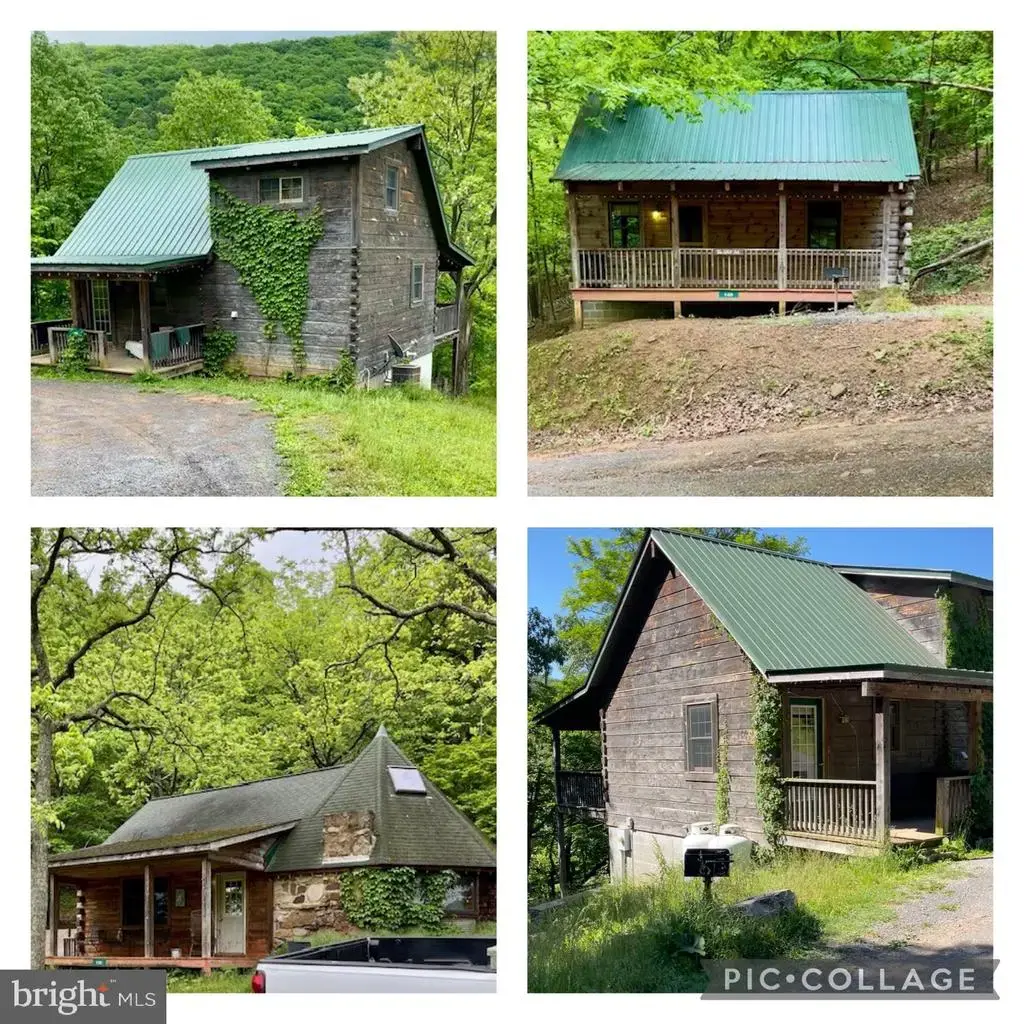 219 Fox Squirrel Ln, CABINS