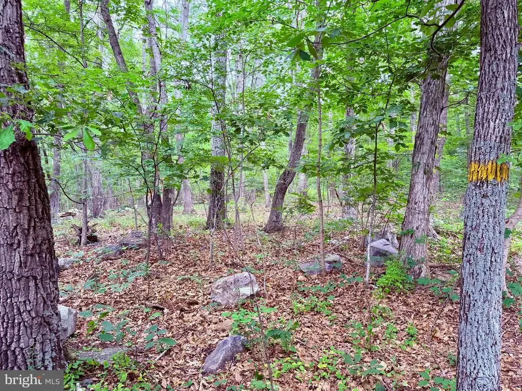 21908 White Oak Rd, HAGERSTOWN