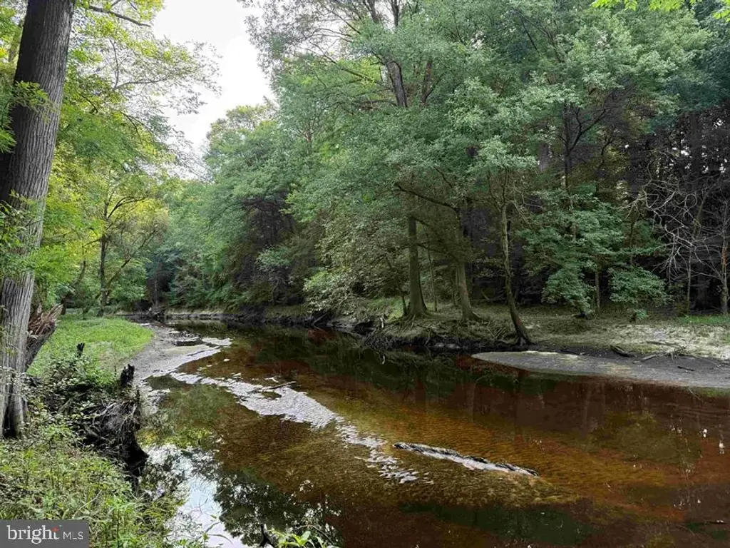 Sarecta Road (tract: Duplin), OTHER