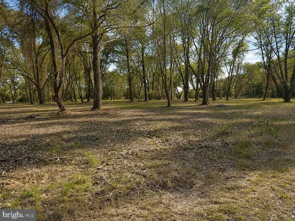 Lot 1 Red Hill Ln, NANTICOKE
