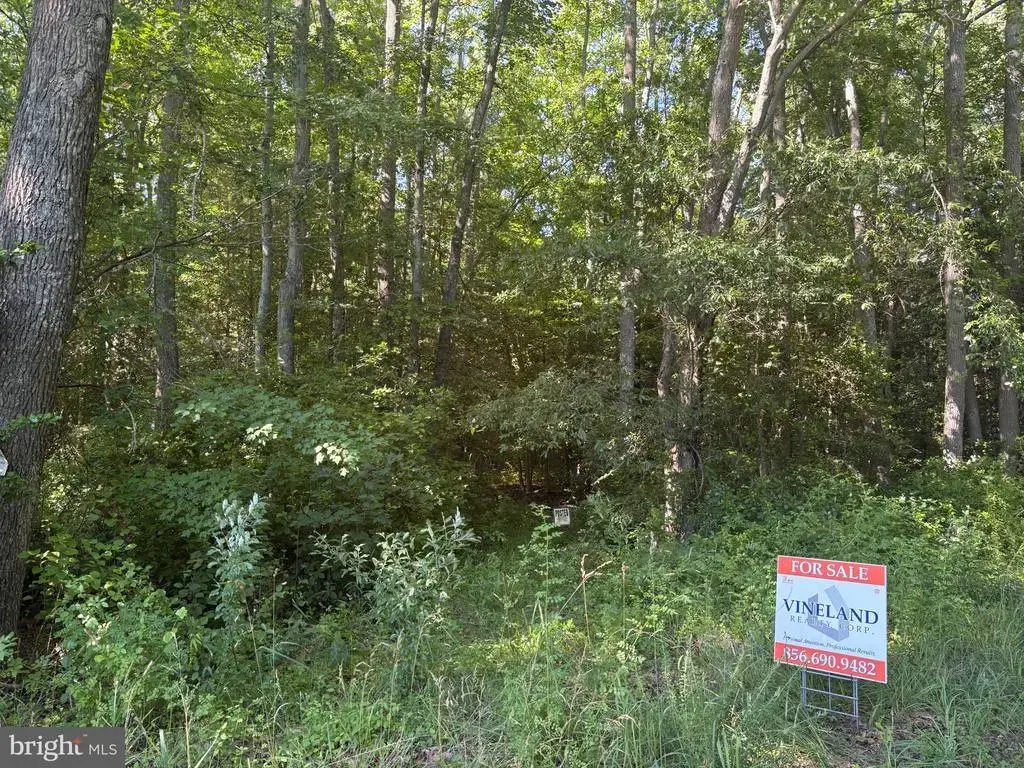 0 Mill Pond Road, HANCOCKS BRIDGE