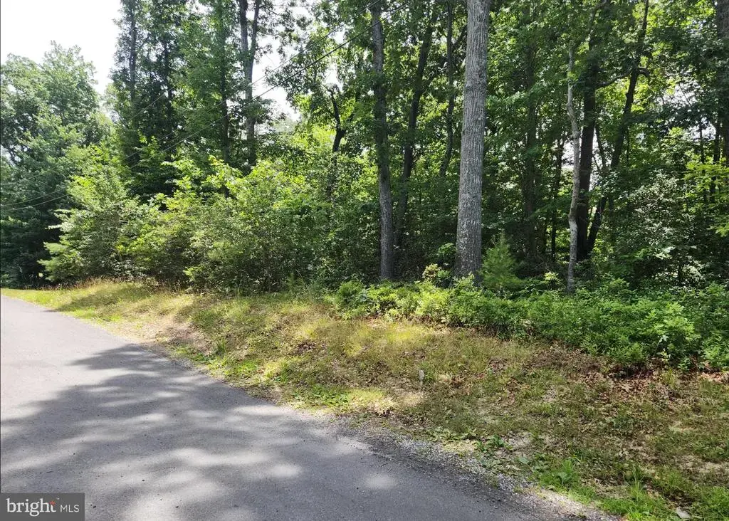 409 Stallion Ln, LUSBY