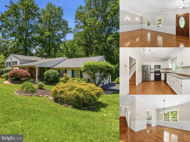 1602 E Branch Ct, Forest Hill