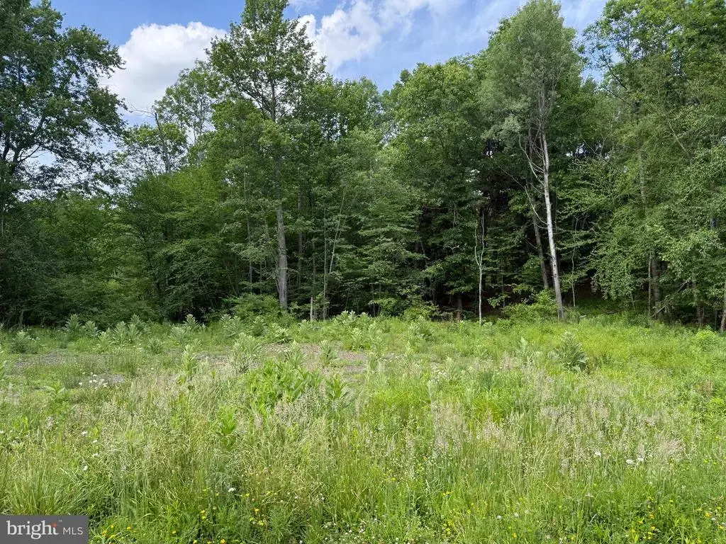 0 Frog Hollow Rd, PHILIPSBURG
