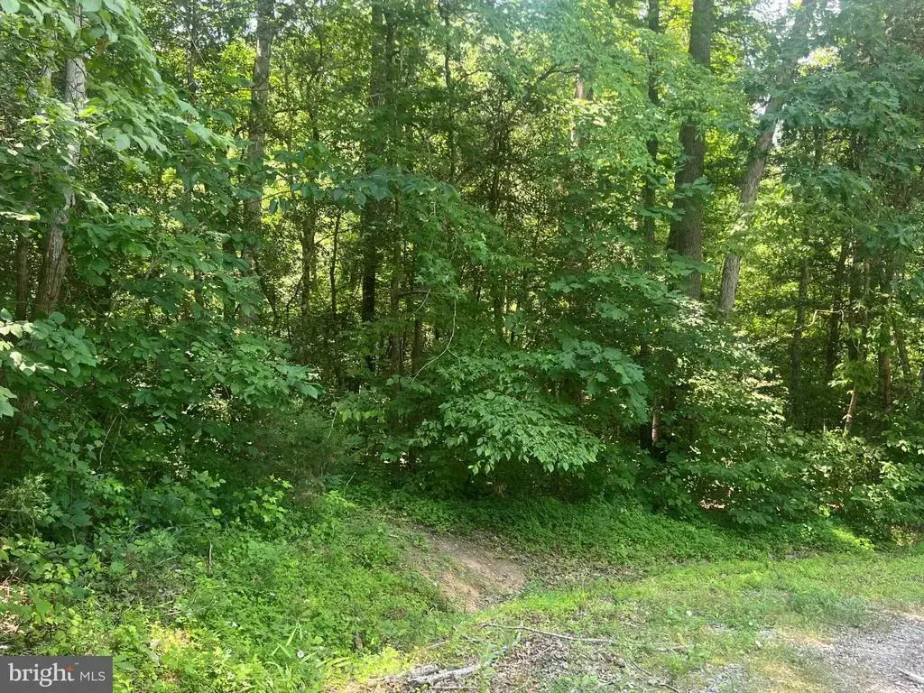 5517 Forest View Dr, PARTLOW