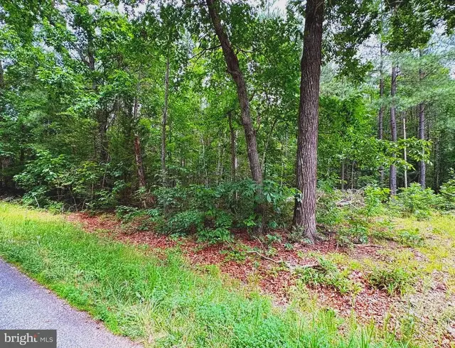 Governor Almond Rd, Locust Grove