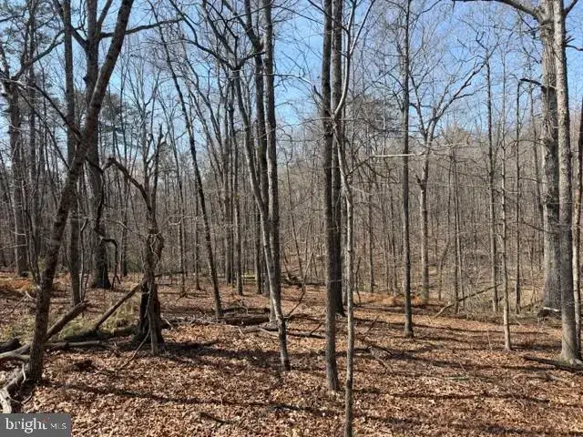 Countryside Lane - Lot 4, Lignum