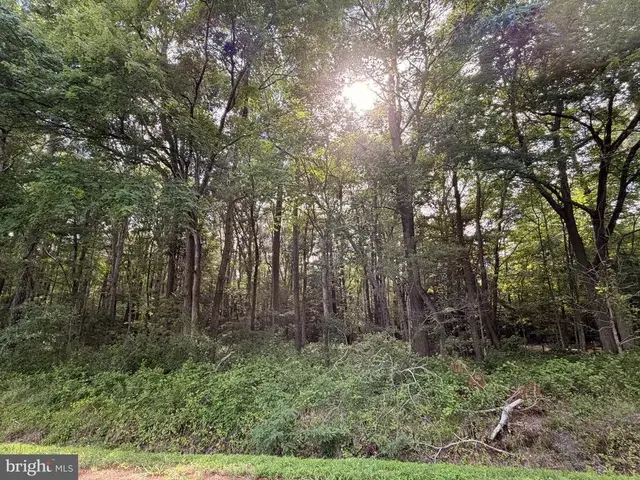 0 Bivens Rd, Marion Station