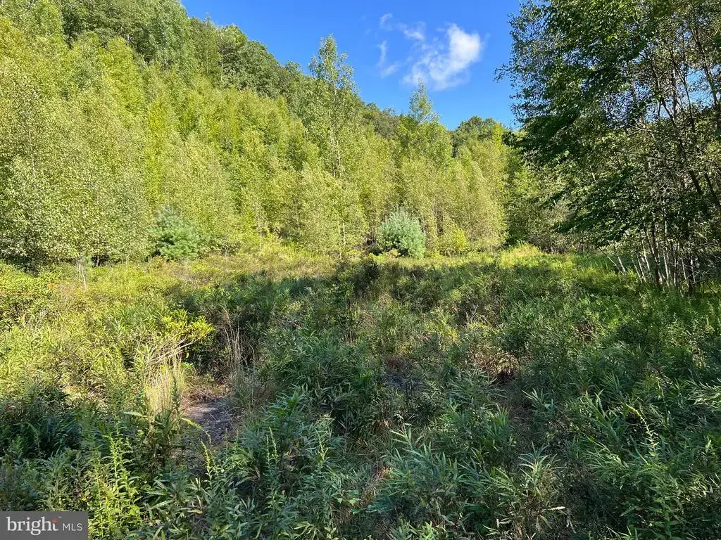 0 Lower Mountain Drive Lower Mountain Drive, EFFORT