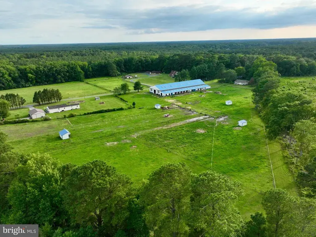 31244 Dog House Dr, SALISBURY