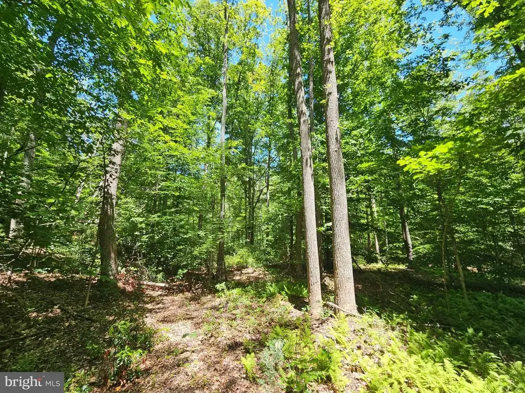 15 Ac Manteo Rd, BUCKINGHAM