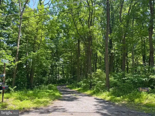 Tower Rd, Mertztown