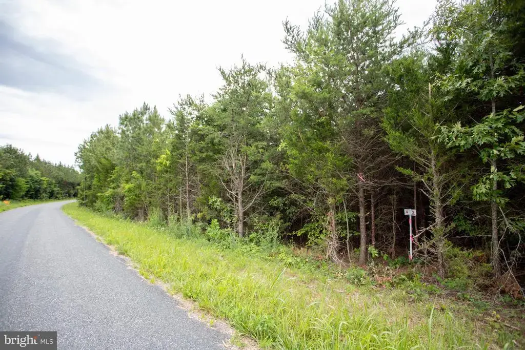 Tbd Trents Cemetery Road #lot 6, PHENIX