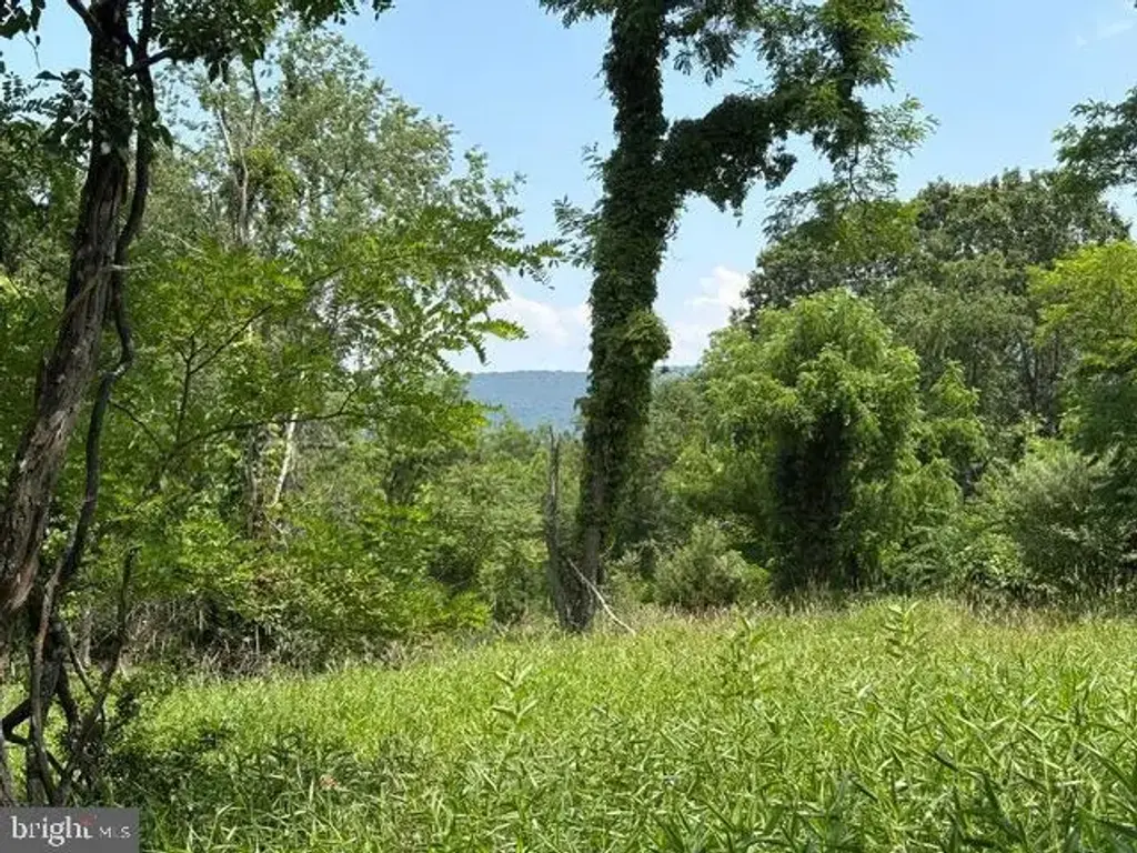 Lot 24a 3.22 Ac Fox Run, BAKER