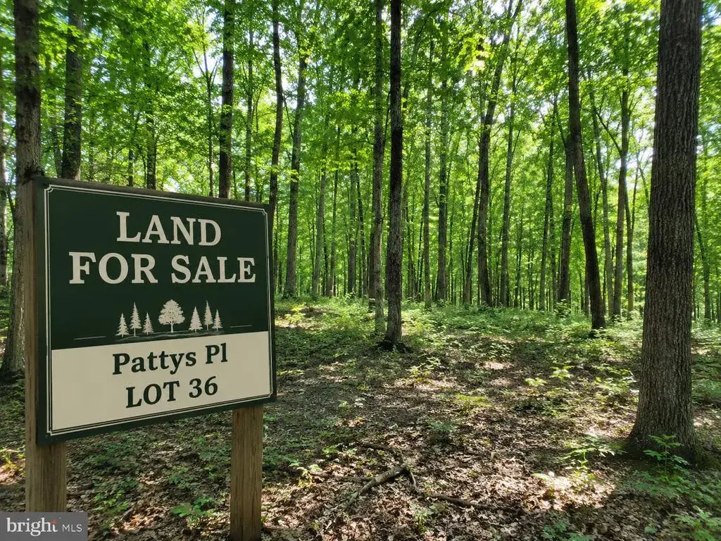 Pattys Pl, FALLING WATERS
