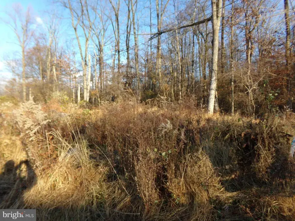 0 Center Hill Rd, FERNDALE