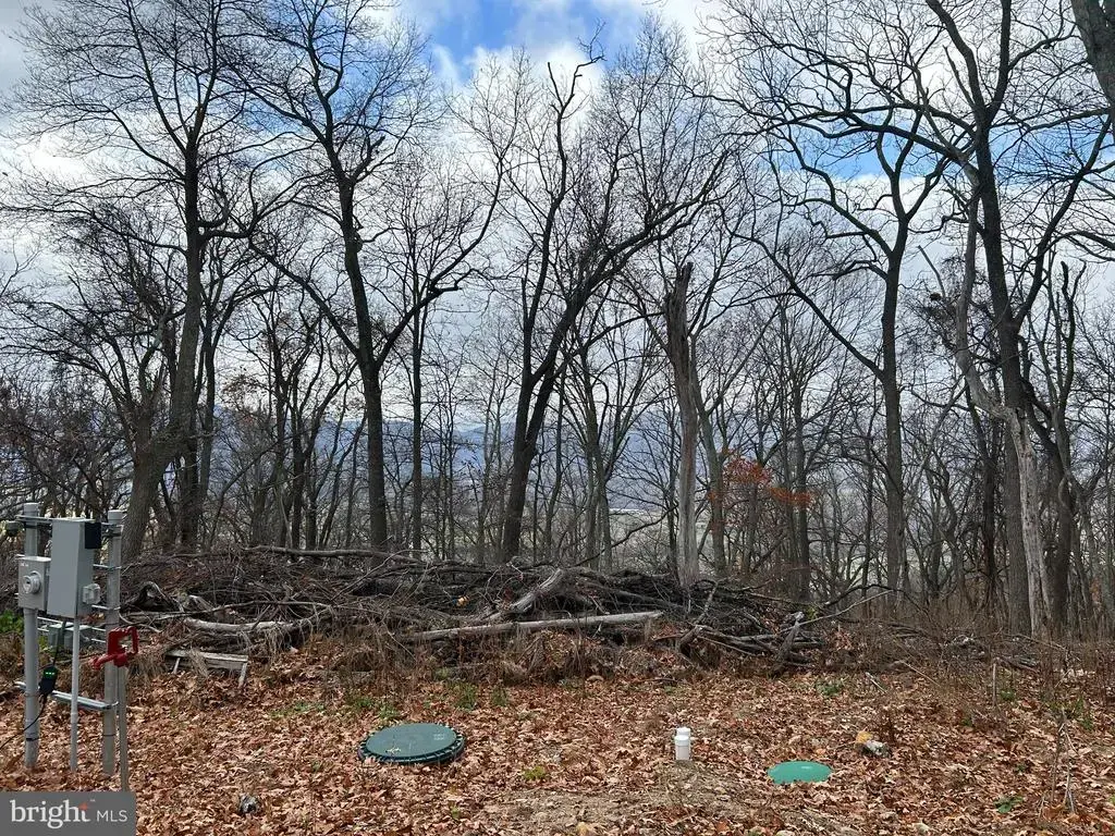 High Knob, OLD FIELDS