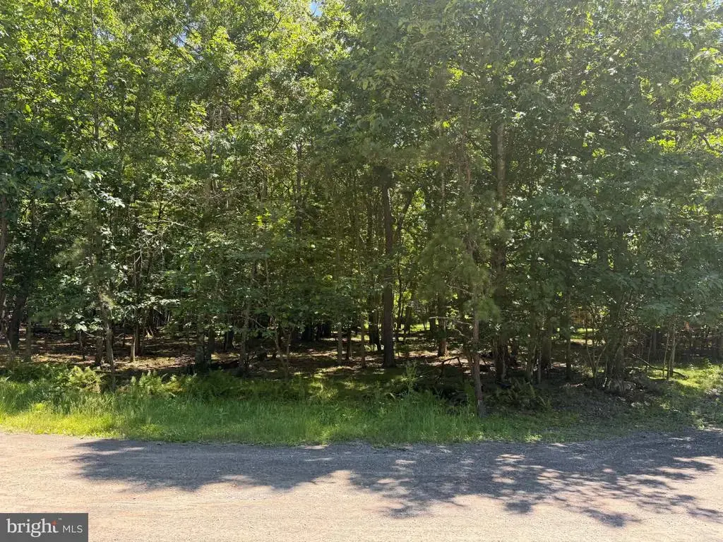0 Wildwood Ln, CANADENSIS